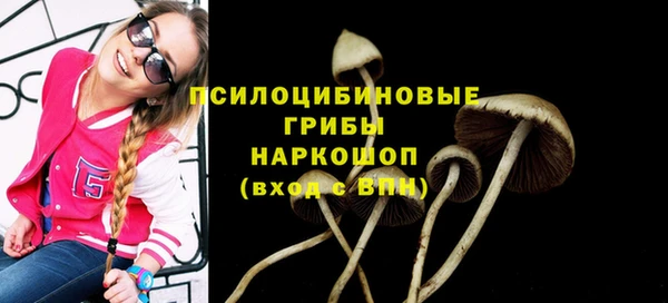 стаф Богородск