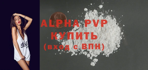 стаф Богородицк