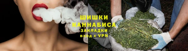 стаф Богородицк