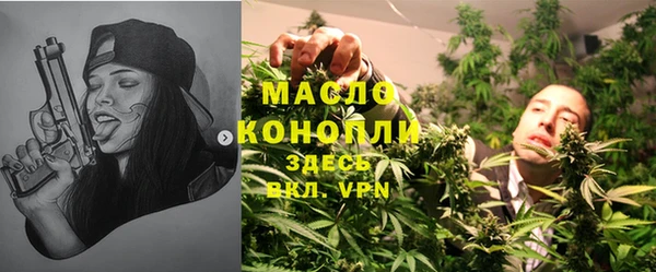стаф Богородск